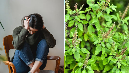The Benefits of Herbal Remedies for Stress and Anxiety